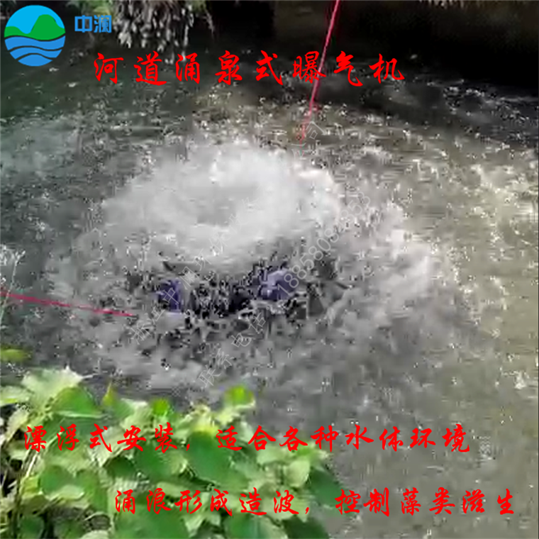 涌泉式曝氣機(jī)